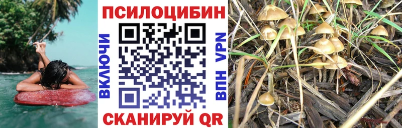 Псилоцибиновые грибы прущие грибы  Купить  Катав-Ивановск 